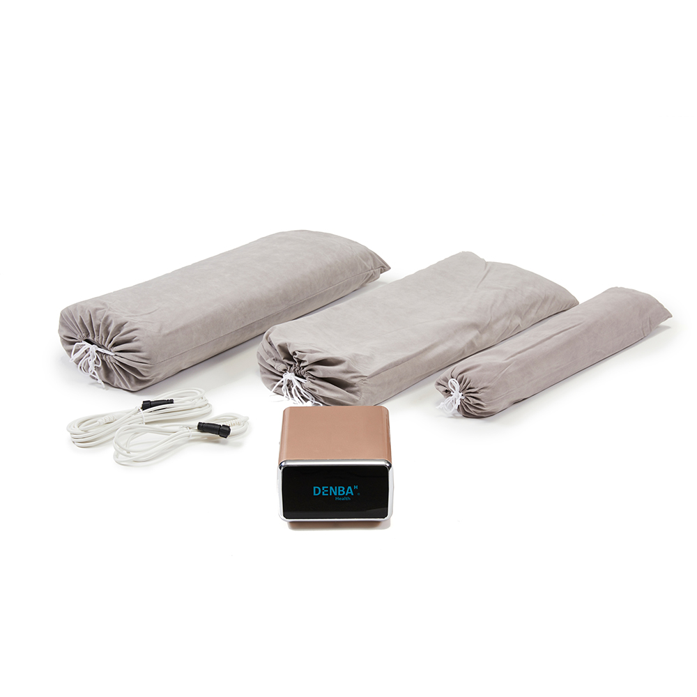 慎太郎さん専用DENBA Health スタンダード デンバヘルス スタンダード DENBA Health デンバヘルス スタンダードタイプ