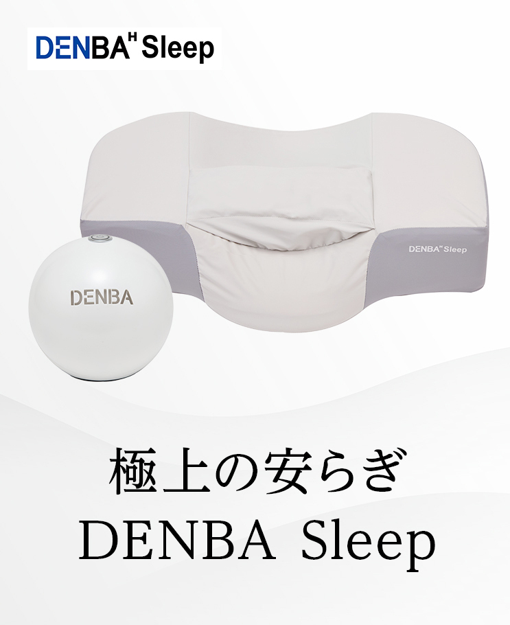 DENBA main